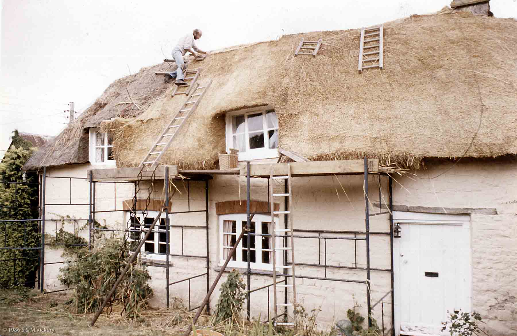 1986 thatching